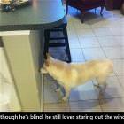 Still Enjoys The Little Things