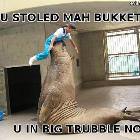 Stole Mah Bucket
