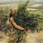 Stoner Life