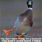 Stop It Duck