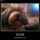 Stop It