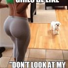 Stop Looking