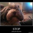 Stop That