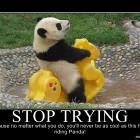 Stop Trying