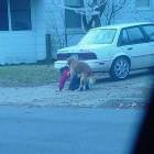 Strange Neighborhood