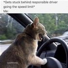 Stuck Behind