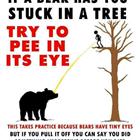 Stuck In A Tree