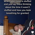 Stuffed Nose