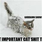Stupid Snow