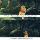 Stupid Woods