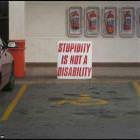 Stupidity