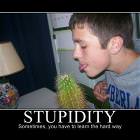 Stupidity