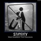 Stupidity Is Dangerous