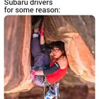 Subaru Lesbians