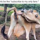 Subscribe