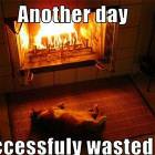 Success