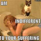 Suffering