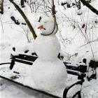 Suicidal Snowman