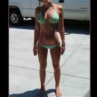 Summer Is Missed