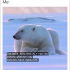 Sums It Up