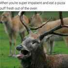 Super Hot Pizza