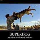 Superdog