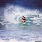 Surfer Girls Picdump 5