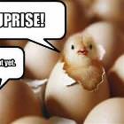 Surprise