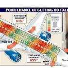 Survival Rates