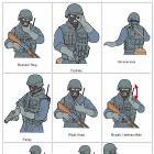 Swat