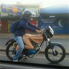 Sweet Bike
