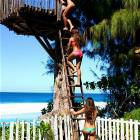 Sweet Tree House