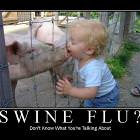 Swine Flu