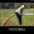 Taco Bell Attack
