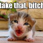 Take Tat Bitch