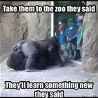 Take Them To The Zoo