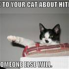 Talk To Your Cat