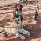 Taming The Jungle