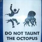 Taunt The Octopus