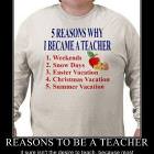Teachers