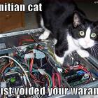 Tech Cat