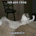 Teh Gun Show