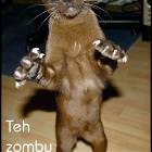 Teh Zomby Cat