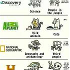 Television These Days