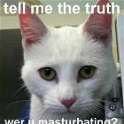 Tell The Truth
