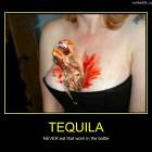 Tequila