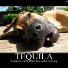 Tequila
