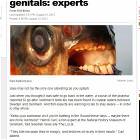 Testicle Biting Fish