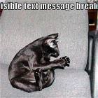 Text Message