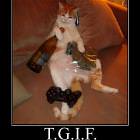 Tgif